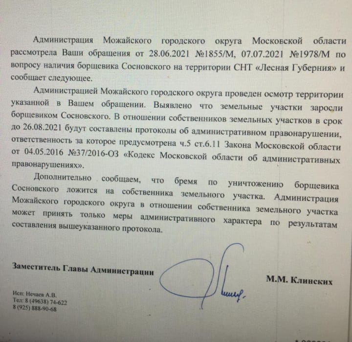 Ответ администрации Можайск Борщевик Ответ администрации Можайск Борщевик